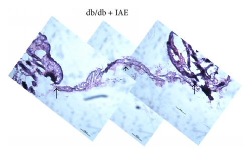 Details are in the caption following the image