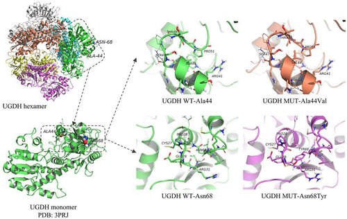 Details are in the caption following the image Details are in the caption following the image