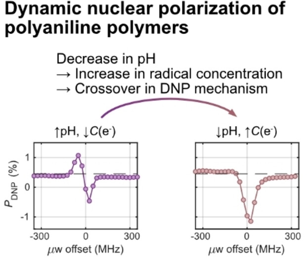 Dynamic Nuclear Polarization with Conductive Polymers
