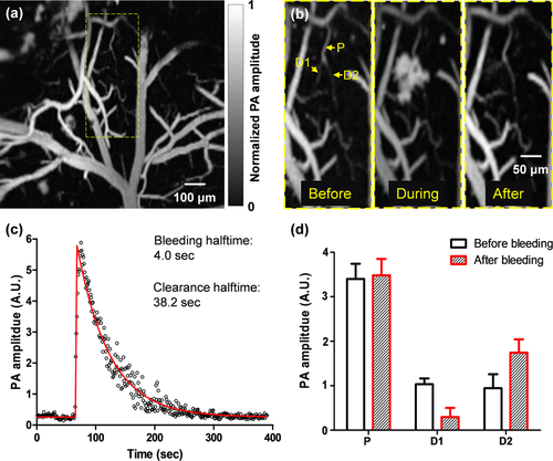 Details are in the caption following the image Details are in the caption following the image