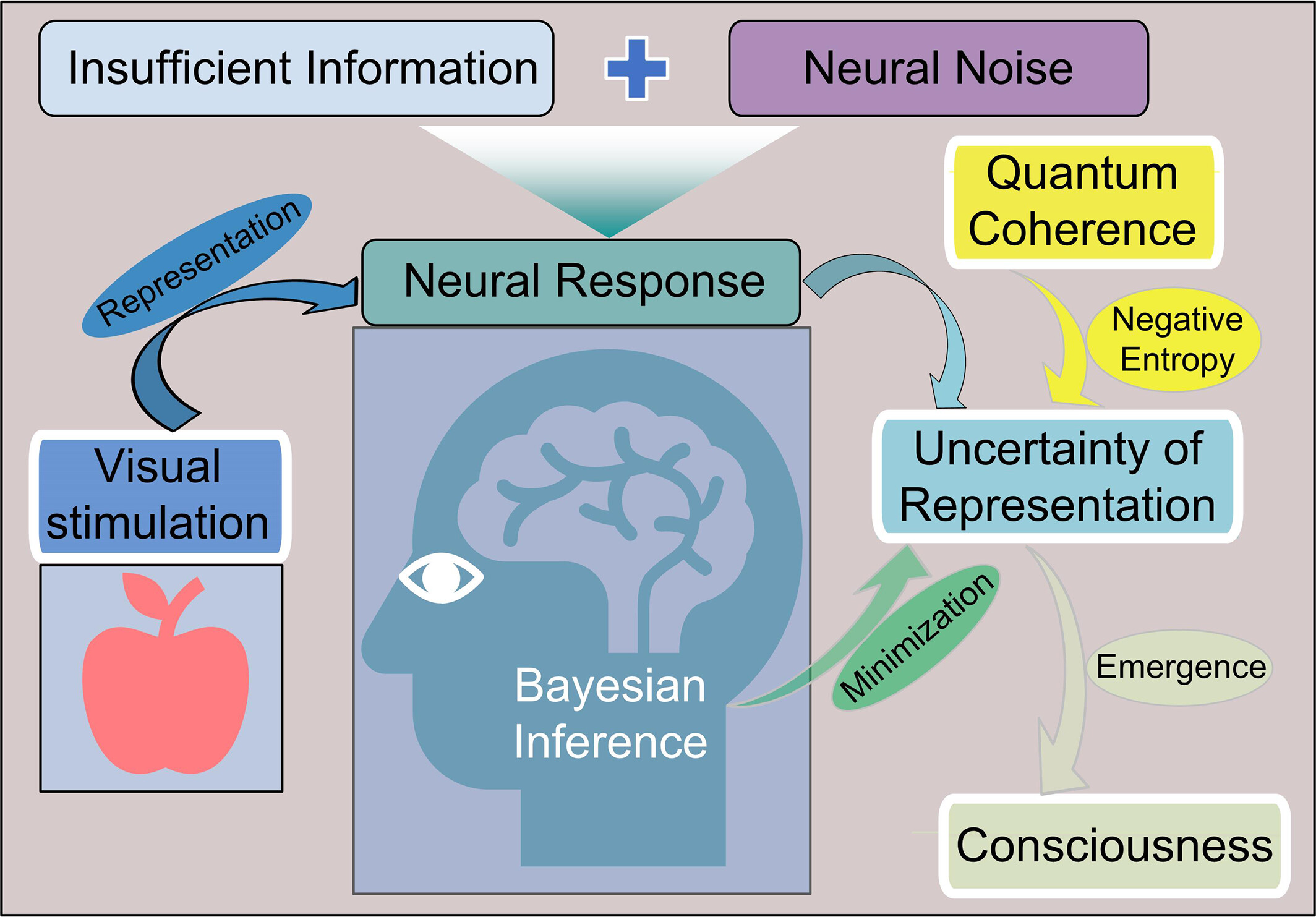From uncertainty and entropy to coherence and consciousness
