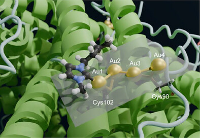 Structural Insight Into a Human H Ferritin@Gold-Monocarbene Adduct: Aurophilicity Revealed in a Biological Context