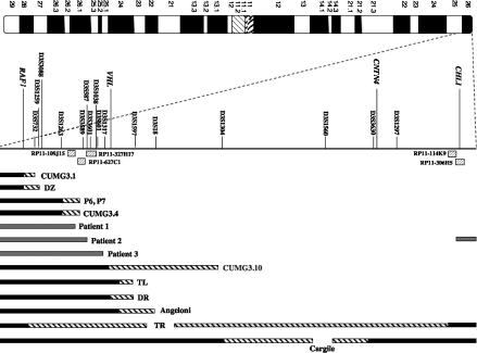 Details are in the caption following the image Details are in the caption following the image