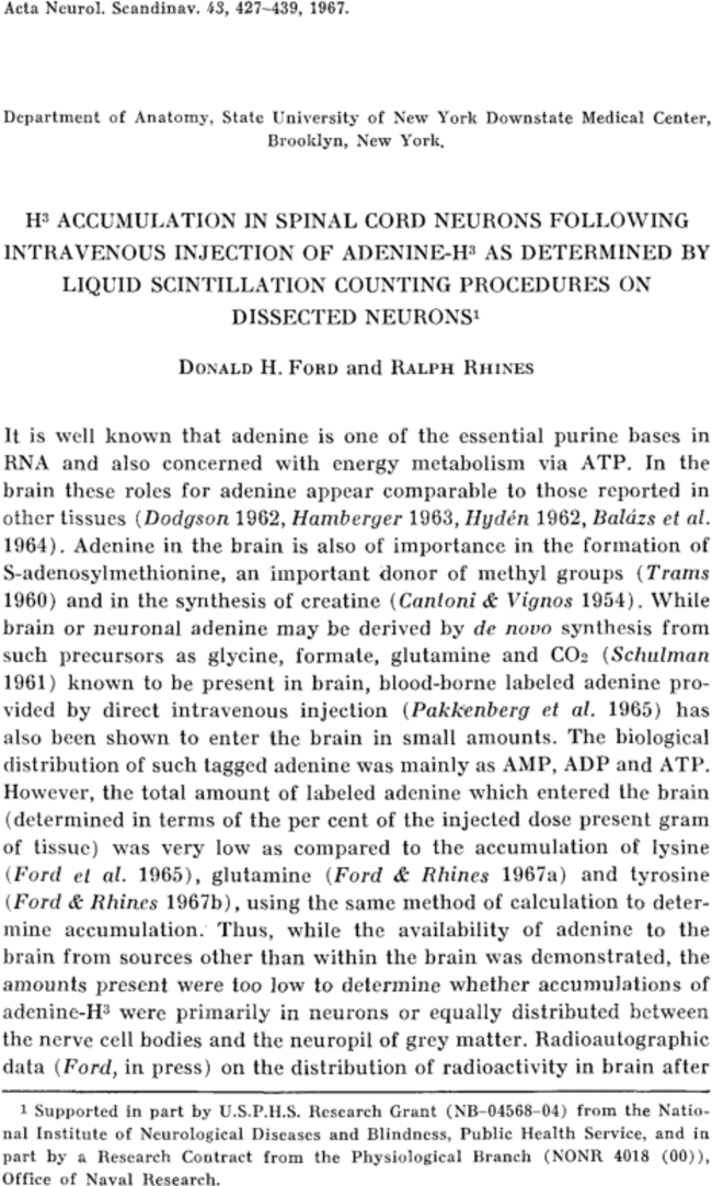 First page image