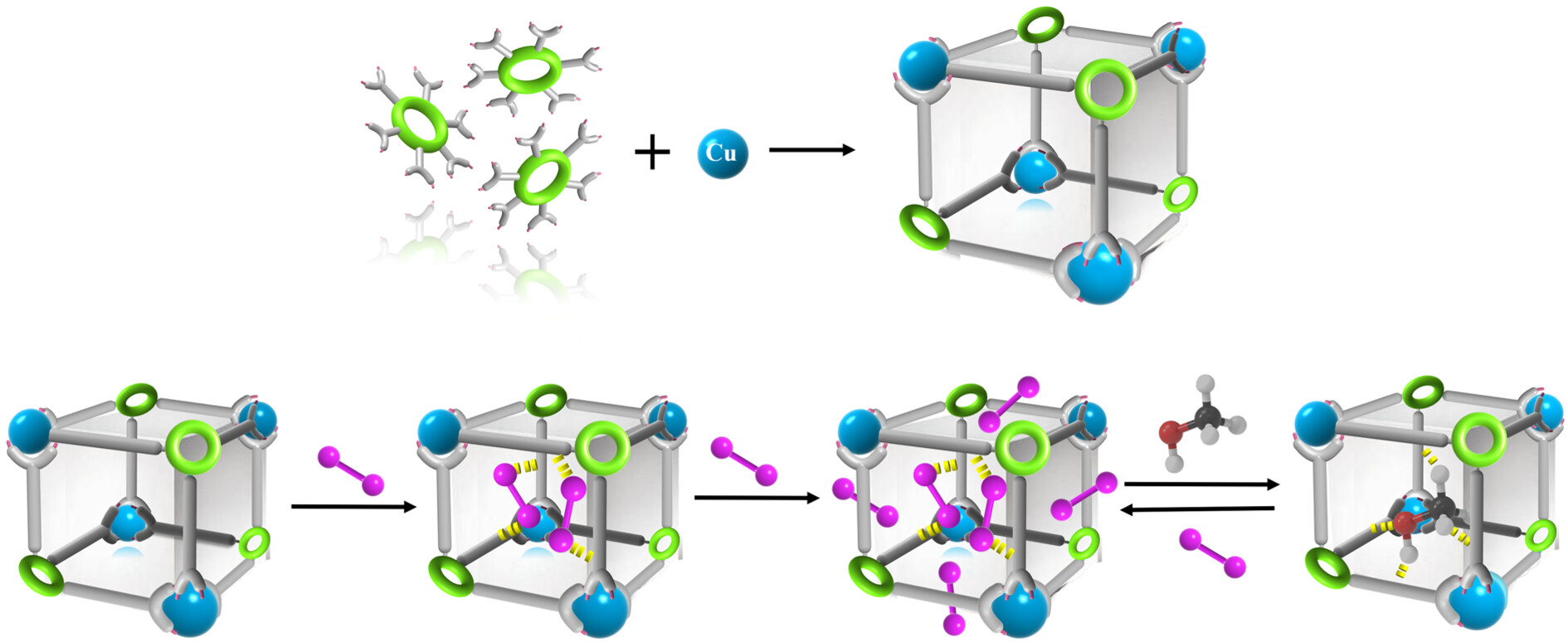 Designable Assembly of Aluminum Molecular Rings for Sequential Confinement of Iodine Molecules