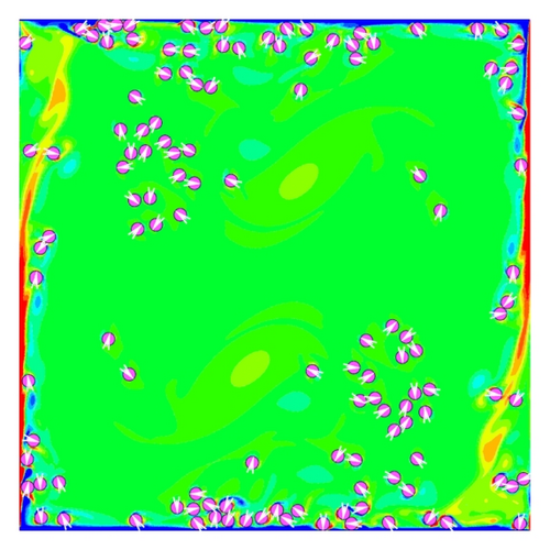 Details are in the caption following the image