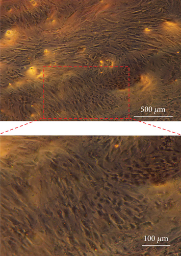 Details are in the caption following the image