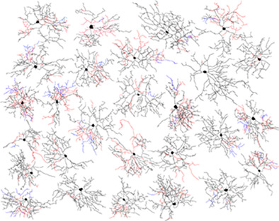 The M6 cell: A small-field bistratified photosensitive retinal ganglion cell