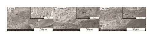 Details are in the caption following the image Details are in the caption following the image