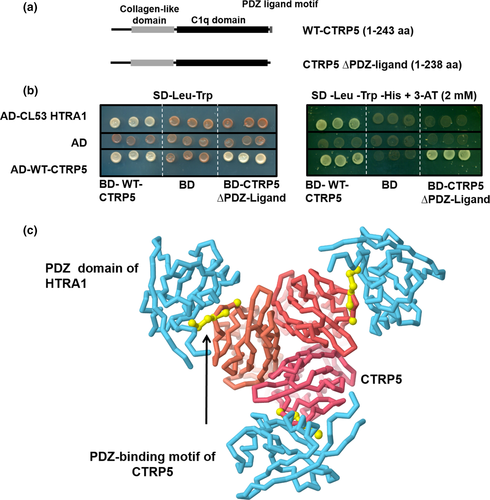 Details are in the caption following the image Details are in the caption following the image