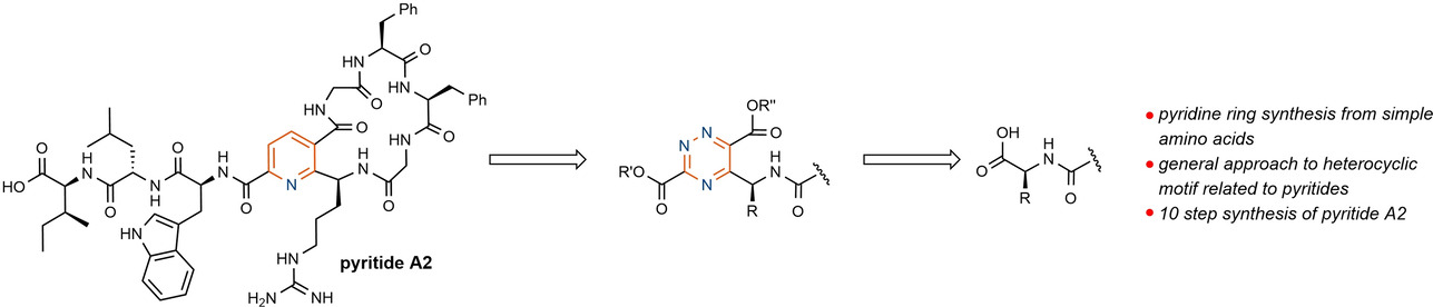 Bioinspired Total Synthesis of Pyritide A2 through Pyridine Ring Synthesis