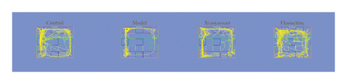 Details are in the caption following the image Details are in the caption following the image