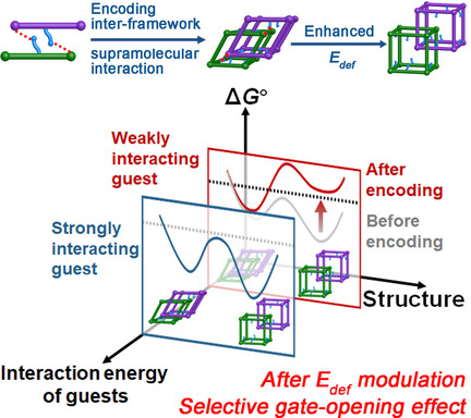 Structural-Deformation-Energy-Modulation Strategy in a Soft Porous Coordination Polymer with an Interpenetrated Framework