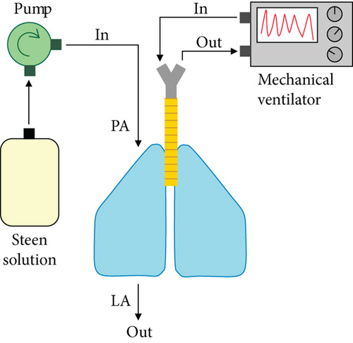 Details are in the caption following the image
