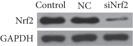 Details are in the caption following the image