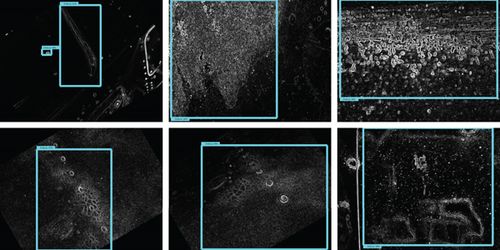 Details are in the caption following the image Details are in the caption following the image