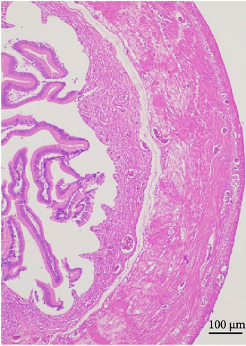 Details are in the caption following the image