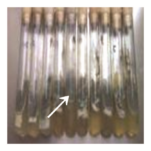 Details are in the caption following the image