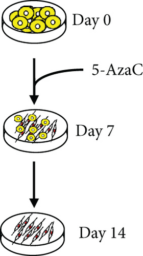 Details are in the caption following the image