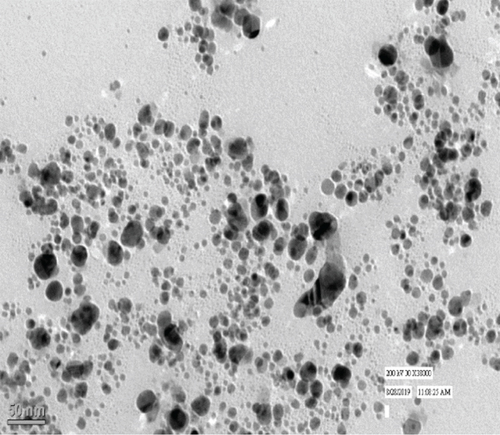 Details are in the caption following the image