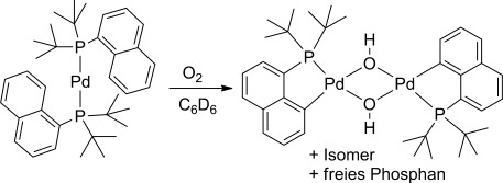 Oxygen-Promoted C<span class='icomoon'></span>H Bond Activation at Palladium