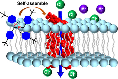 Dual-Function Tetrabenzylphosphonium Groups as Mitochondria-Targeting Artificial Anion Channels
