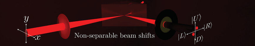 Longitudinal and Transverse Optical Beam Shifts Show Non-separability