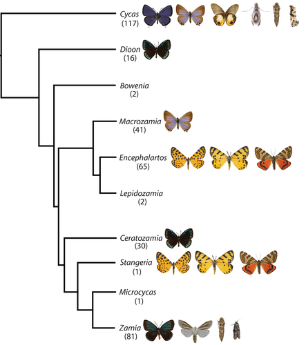 Details are in the caption following the image Details are in the caption following the image