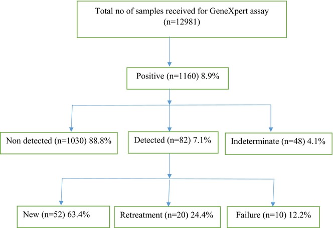 Detection of Rifampicin Resistance rpoB Gene Using GeneXpert MTB/RIF Assay in Pulmonary Tuberculosis Cases at Debre Tabor Comprehensive Specialized Hospital, Northwest Ethiopia