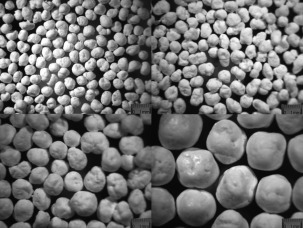 Morphology Control of Polymer Particles in Ethylene/Carbon Monoxide Copolymerization