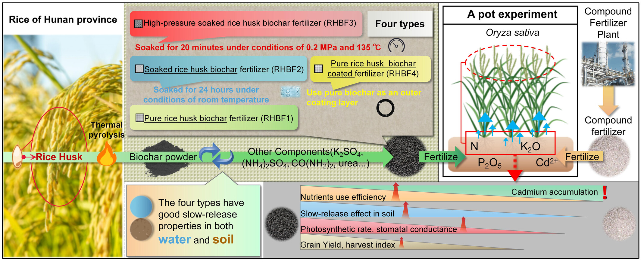 Formulating new types of rice husk biochar-based fertilizers for the simultaneous slow-release of nutrients and immobilization of cadmium