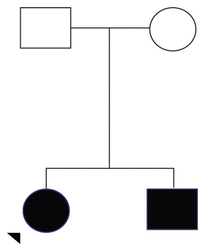 Details are in the caption following the image