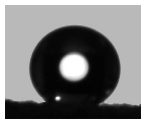 Details are in the caption following the image