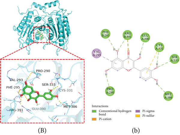 Details are in the caption following the image Details are in the caption following the image