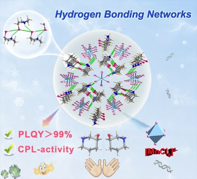 Circularly Polarized Luminescence Induced by Hydrogen-Bonding Networks in a One-Dimensional Hybrid Manganese(II) Chloride