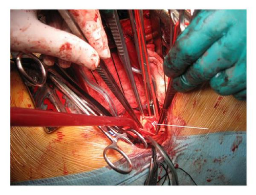 Details are in the caption following the image Details are in the caption following the image