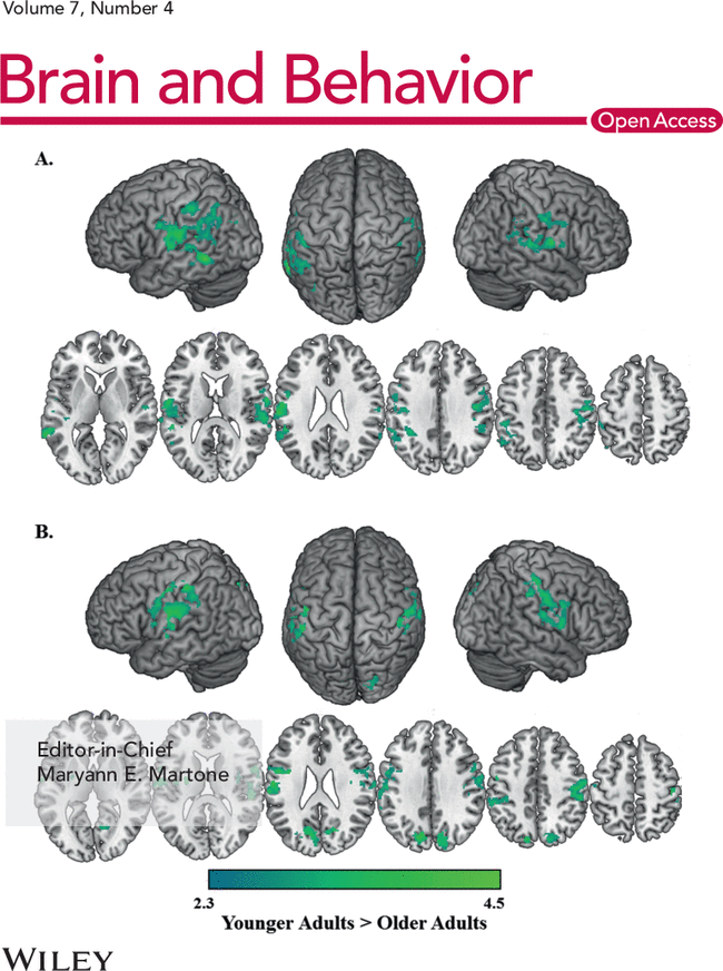First page image