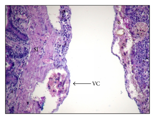 Details are in the caption following the image