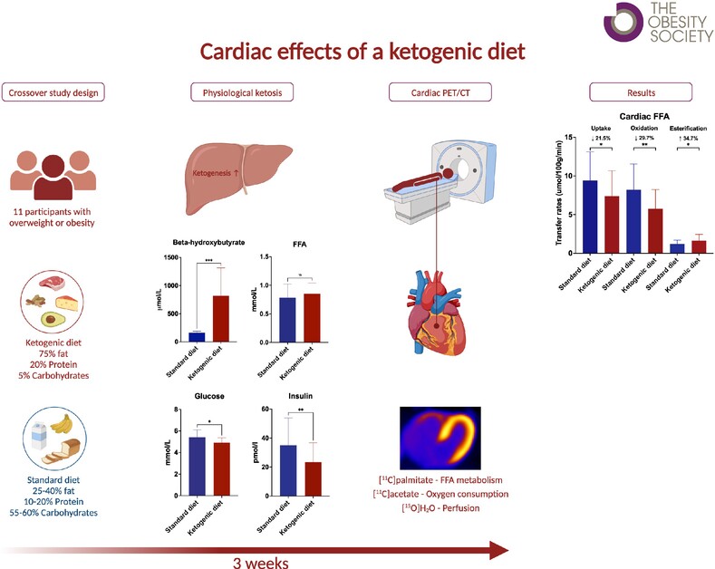 A ketogenic diet lowers myocardial fatty acid oxidation but does not affect oxygen consumption: a study in overweight humans