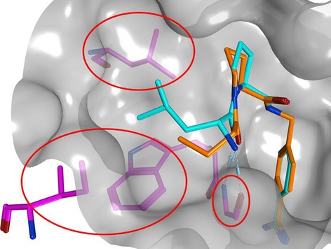 Identification of Interaction Hot Spots in Structures of Drug Targets on the Basis of Three-Dimensional Activity Cliff Information