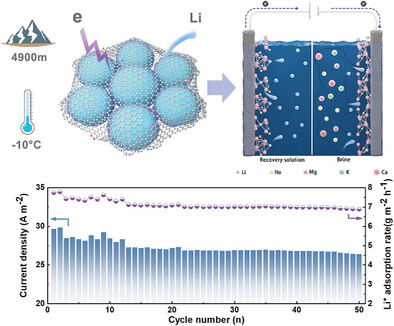 Self-Oxidated Hybrid Conductive Network Enables Efficient Electrochemical Lithium Extraction Under High-Altitude Environment