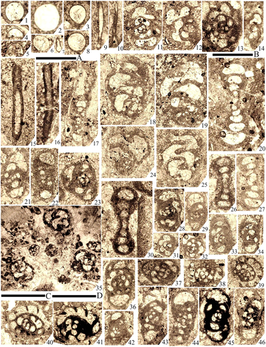 Details are in the caption following the image Details are in the caption following the image