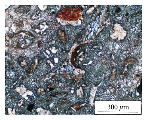 Details are in the caption following the image