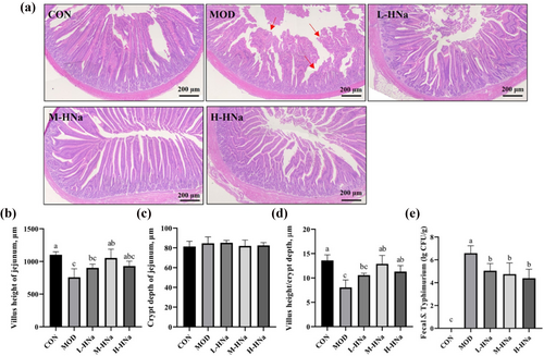 Details are in the caption following the image Details are in the caption following the image