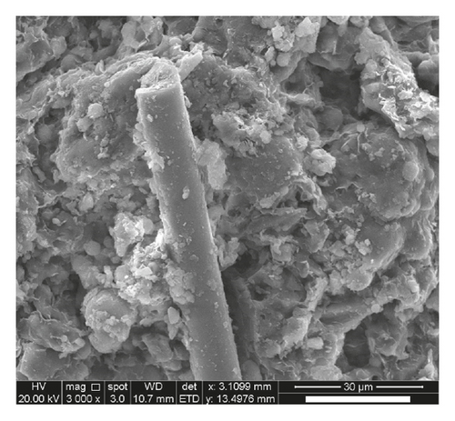 Details are in the caption following the image