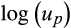 urn:x-wiley:00130249:media:ecor12538:ecor12538-math-0181