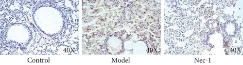 Details are in the caption following the image