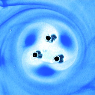 The Rate of Energy Dissipation Determines Probabilities of Non-equilibrium Assemblies