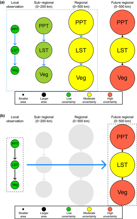 Differing climate and landscape effects on regional dryland vegetation responses during wet periods allude to future patterns