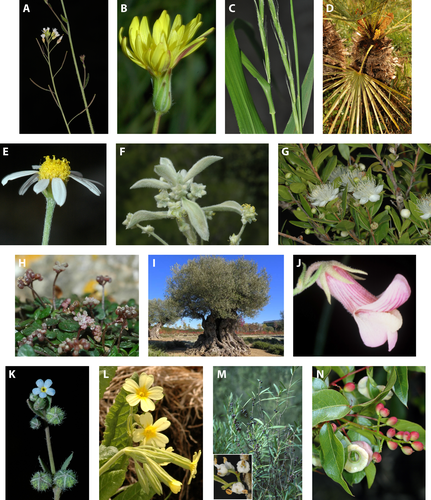 Details are in the caption following the image Details are in the caption following the image